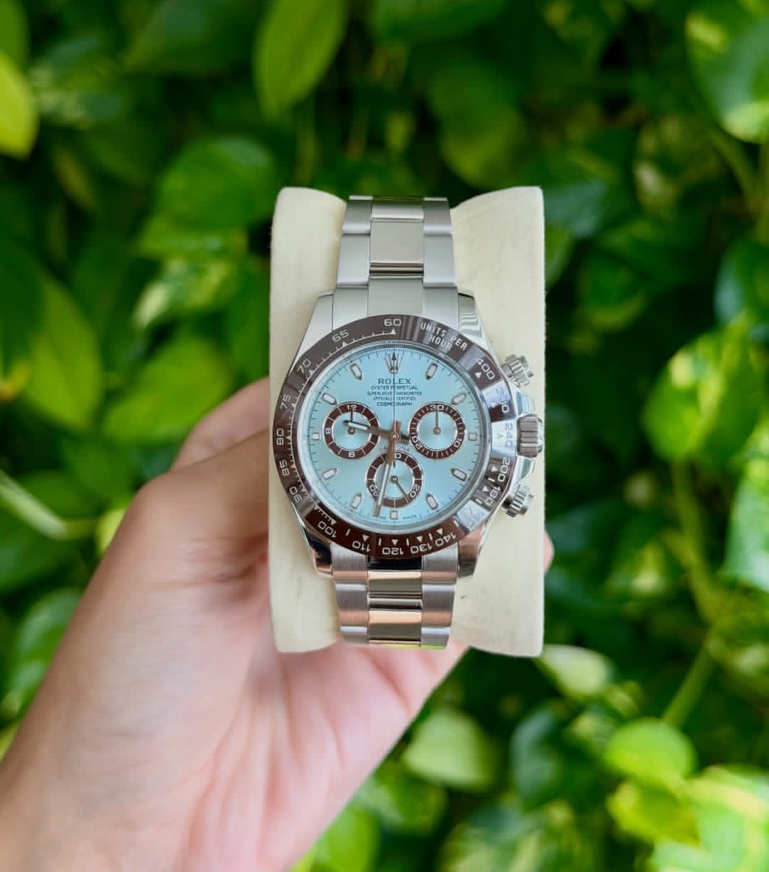 ROLEX DAYTONA "PLATINUM"